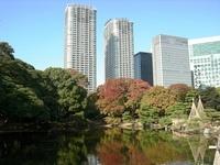Tokyo Skyline