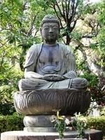 Buddha