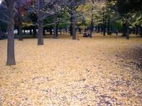 Autumn