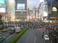 DSCN0682