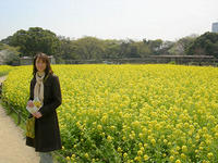 In Hama-rikyu Gardens