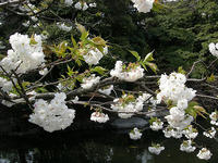 DSCN0691