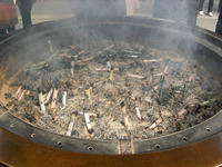 DSCN0710