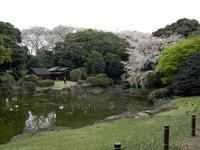 DSCN0731