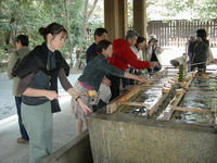 DSCN0737