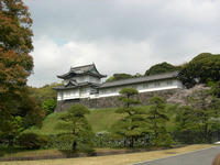 DSCN0765