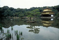 Golden Pavilion in Kyoto