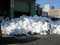 Styrofoam Mountain
