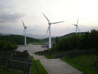 Windfarm