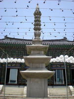 DSCN0684