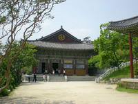 DSCN0685