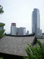 DSCN0686