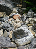 DSCN0687