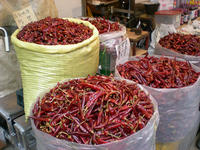 Chilli