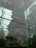 DSCN0698