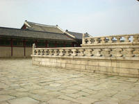 DSCN0732