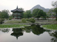DSCN0741