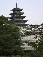 DSCN0742