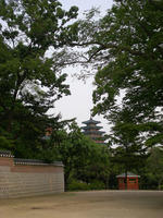 DSCN0754