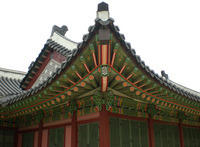 DSCN0768