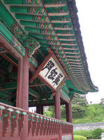DSCN0778