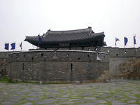 DSCN0785