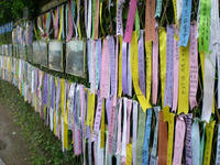 DSCN0793