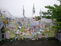 DSCN0795