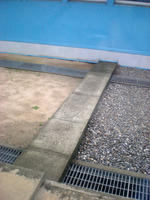 DSCN0809