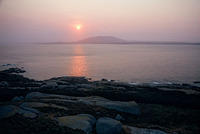 Montague Island