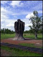NT_rimg0198.jpg