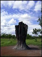NT_rimg0199.jpg