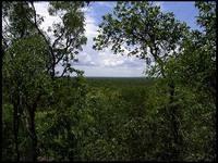 NT_rimg0203.jpg