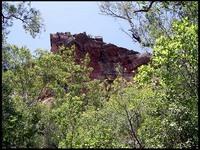 NT_rimg0205.jpg