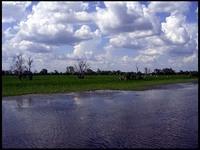 NT_rimg0216.jpg