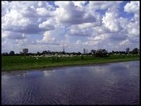 NT_rimg0217.jpg