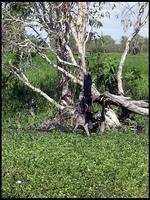 NT_rimg0218.jpg