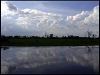 NT_rimg0242.jpg