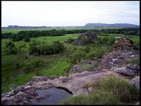 NT_rimg0250.jpg