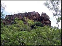 NT_rimg0256.jpg
