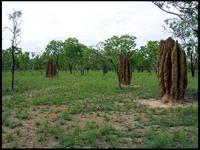 NT_rimg0273.jpg