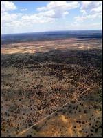 NT_rimg0308.jpg