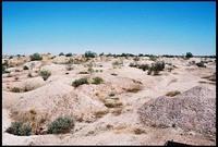 RIMG0071_ROLL2DX-07