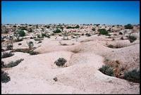 RIMG0071_ROLL2DX-09