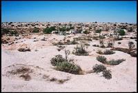 RIMG0071_ROLL2DX-10