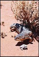RIMG0076_ROLL2DX-12