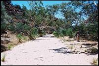RIMG0077_ROLL2DX-13