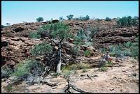 RIMG0077_ROLL2DX-14
