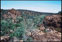 RIMG0077_ROLL2DX-15