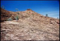 RIMG0077_ROLL2DX-17